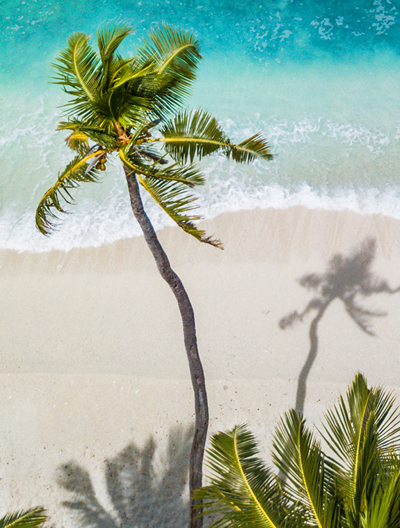 Pack Sea Breeze LIGNE ST BARTH