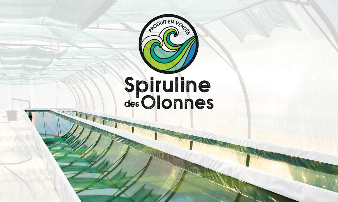 Design du Logo Spiruline des Olonnes